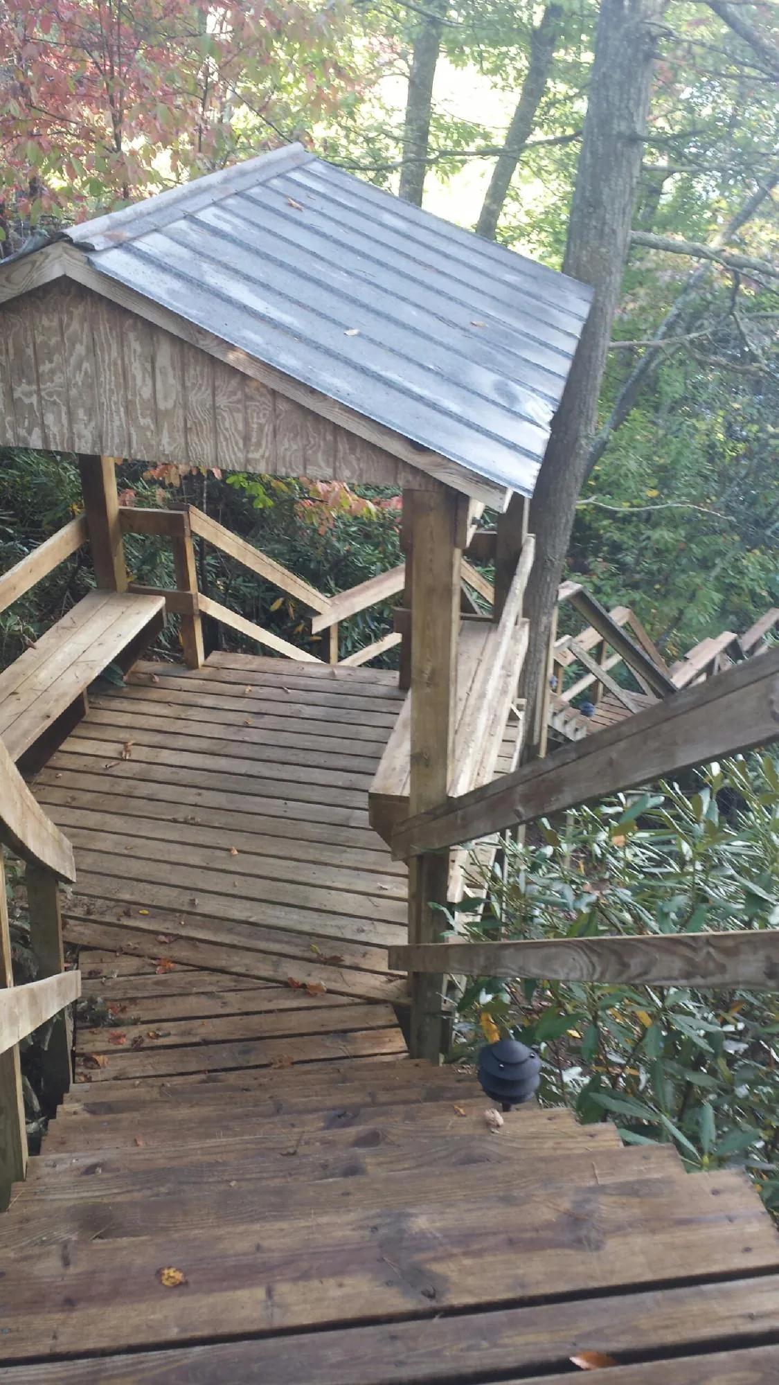 Metal roofed shelter over wooden steps on a wooded walkway — Skylight Repair & Installation work by our crew in Foresthill
